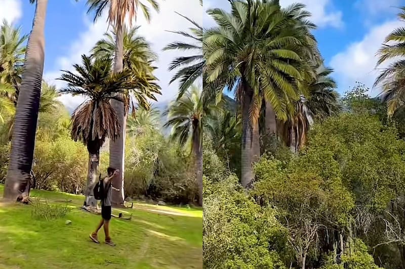 Hay senderos cortos y largos, para todos los gustos. Créditos: @martinhowardg