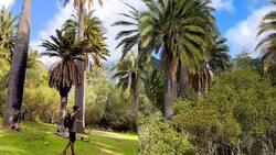 Parque Nacional La Campana: Conoce el lugar ideal para los amantes del trekking