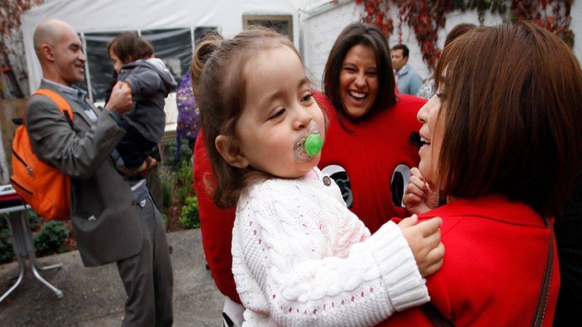 Bono Protección para dueña de casa: chequea pagos disponibles con tu RUT en el IPS en línea