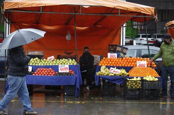 Bono para Pymes 2021: revisa los requisitos para acceder al aporte de $1 millón