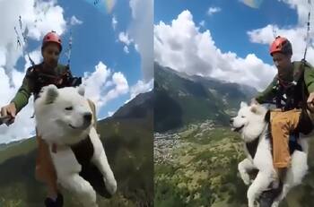 VIDEO | ¡El mejor amigo del hombre!: Perro hace parapente con su dueño en un paso montañoso francés