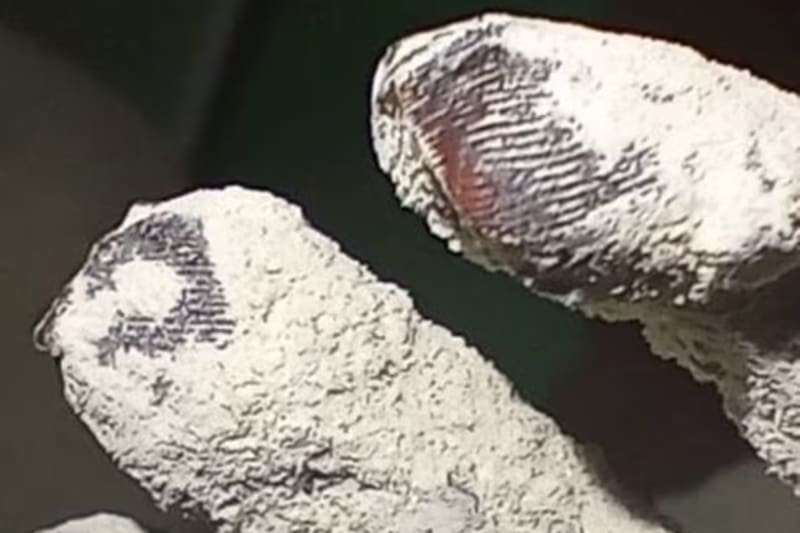 El análisis criminalístico realizado a María, una de las momias de Nazca, permitió definir que el patrón inusual de sus huellas digitales no era humano.