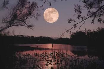 Primera Luna Llena del año: Conoce desde qué hora podrás ver la "Luna de Lobo"