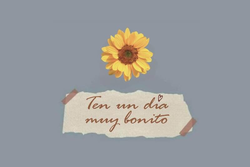 Con estas imágenes, le alegrarás el día a todos tus contactos.