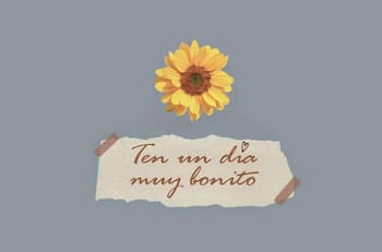 WhatsApp: Los mejores saludos para iniciar el día y enviar a tus contactos