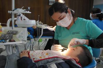 Programa Salud Dental Junaeb: Revisa cómo acceder al plan dental gratuito que ofrece Junaeb