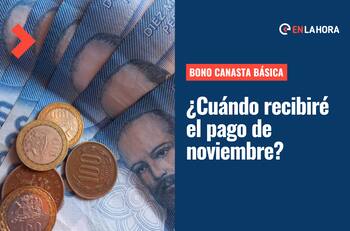 Bono Canasta Básica: Solo con tu RUT revisa si eres beneficiario y cuándo recibirás tu pago