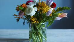 Truco infalible en días calurosos: Así podrás conservar tus flores frescas por más tiempo