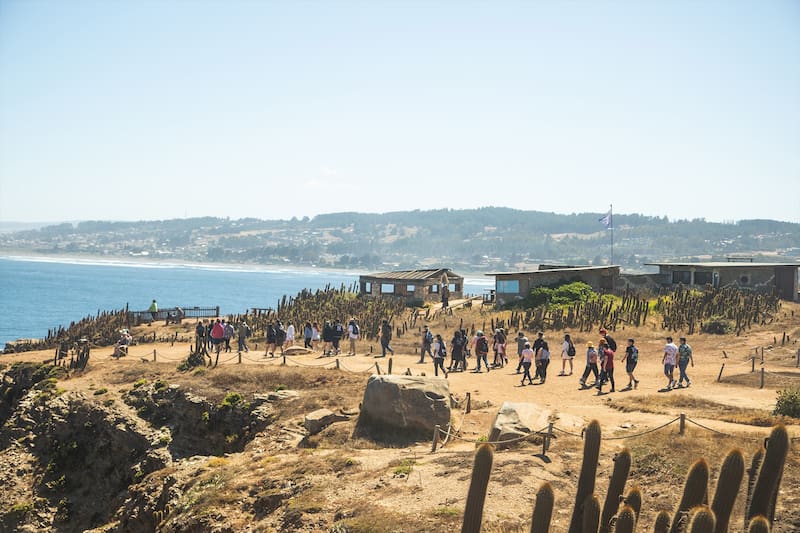 El lugar puede ser visitado durante todo el año, pero en otoño, gracias al buen clima, es un buen momento. Foto: puntadelobos.org