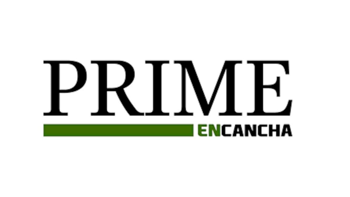 Suscripción al newsletter