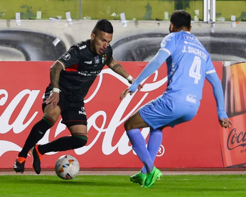 seguirá con competencia continental, ahora en Copa Sudamericana. (Foto: Palestino)