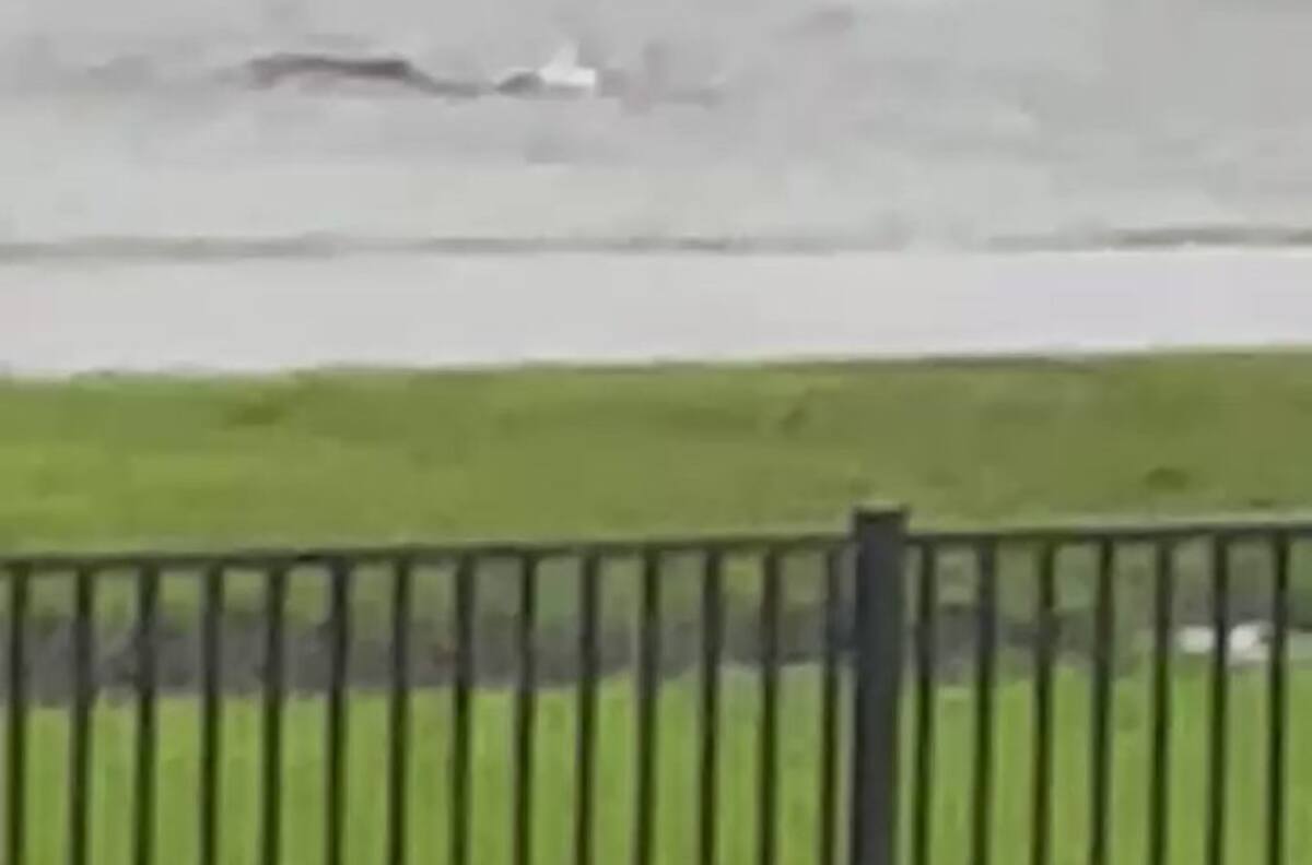 VIDEO | Huracán "Ian" dejó a un tiburón nadando en medio de la calle en Fort Myers