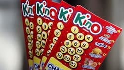 Resultados del Kino, sorteo 3201: 10 personas ganaron más de $730.000