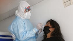 Balance Covid-19: Minsal reporta este jueves la cifra más alta de los últimos 35 días