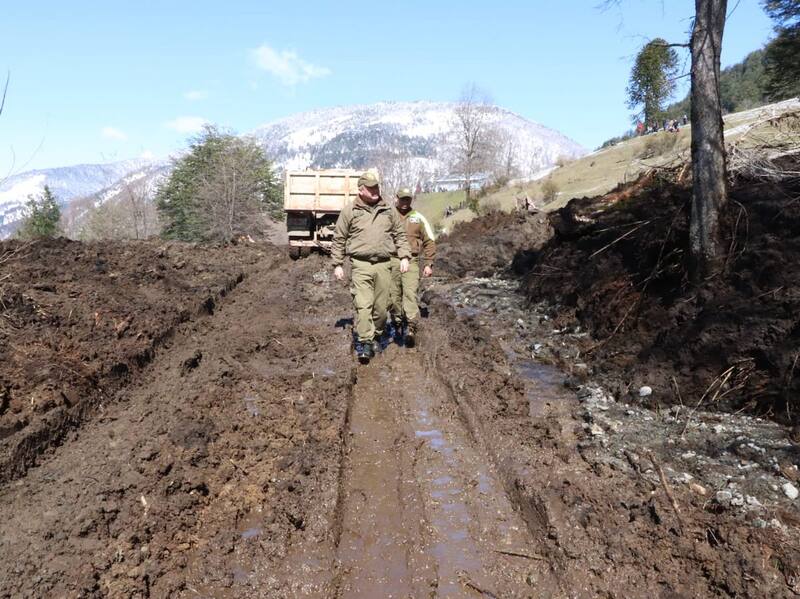 Un matrimonio y su hija de 17 años, perdieron la vida producto del hecho. Foto: Carabineros.