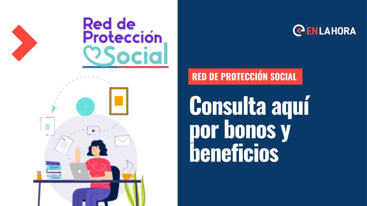 Red de Protección Social 2022: Revisa con tu RUT a qué bonos y beneficios puedes postular