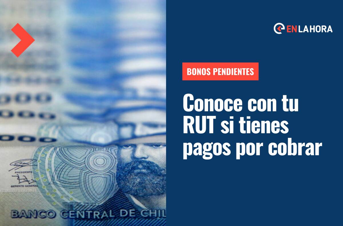 Bonos Pendientes: Revisa con tu RUT si tienes algún beneficio por cobrar o algún pago postergado del IPS