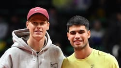 Regresan Alcaraz y Sinner: cuándo y contra quiénes debutan en el ATP de Doha