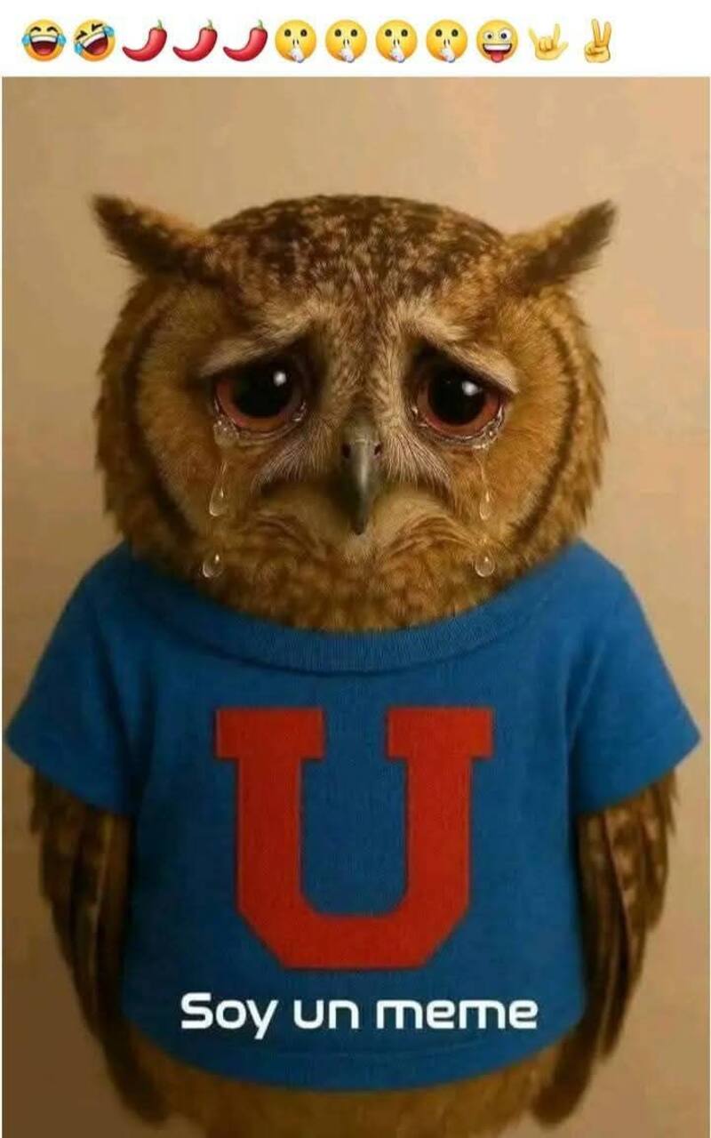 Memes de la eliminación de la U.