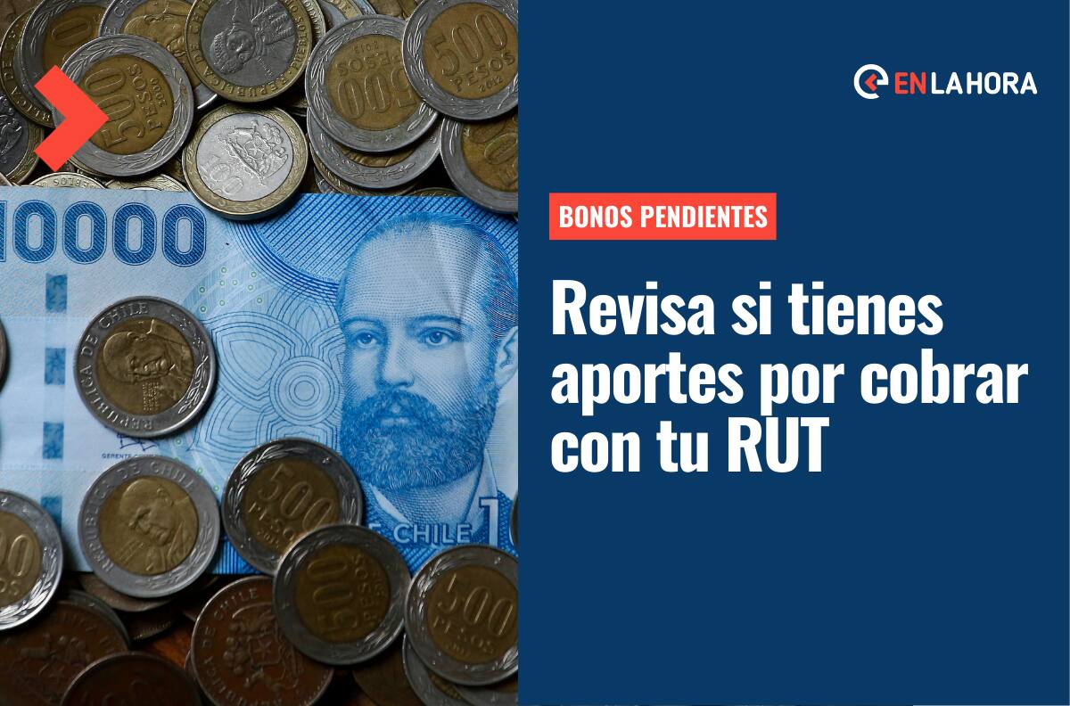 Bonos Pendientes de cobro: Consulta ingresando tu RUT si tienes aportes que aún no recibes