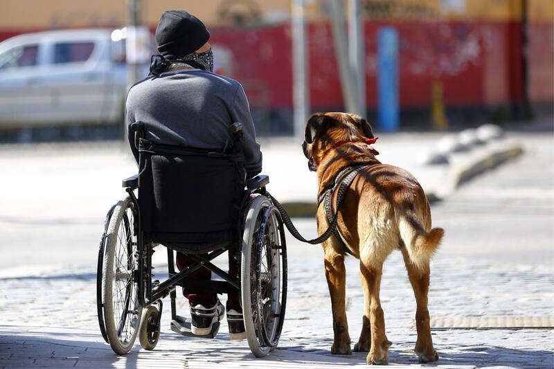 ¿Quiénes lo pueden solicitar?