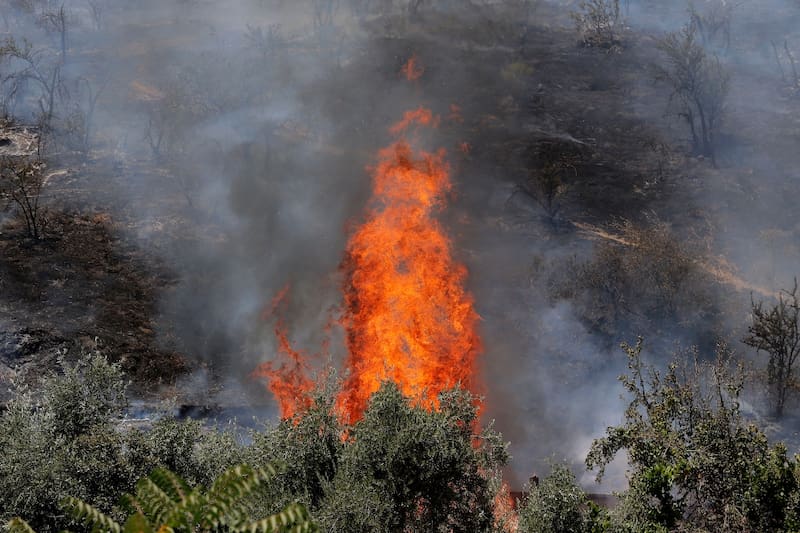El siniestro afecta una parte de Cerro San Cristóbal.