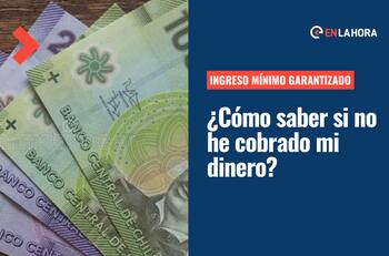 Ingreso Mínimo Garantizado: Conoce cómo consultar con tu RUT si tienes el pago pendiente