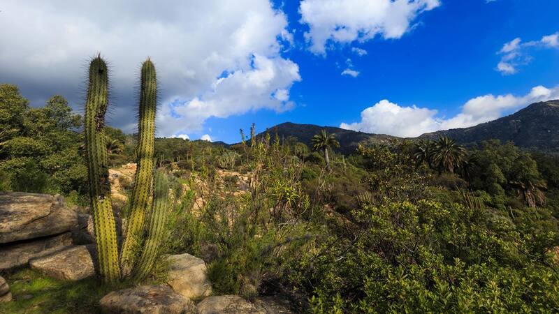 Conoce todo el detalle de este visitado parque nacional de la Quinta Región.