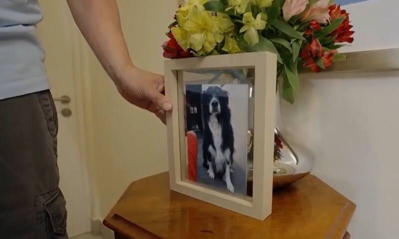 Rodolfo Carter atesora un recuerdo de su mascota. Créditos: Captura CHV