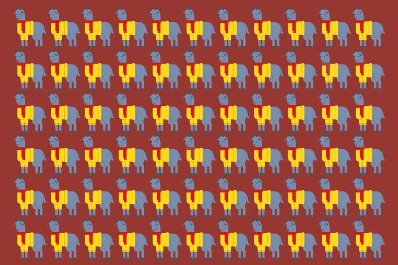 ¿Dónde están las bufandas diferentes?