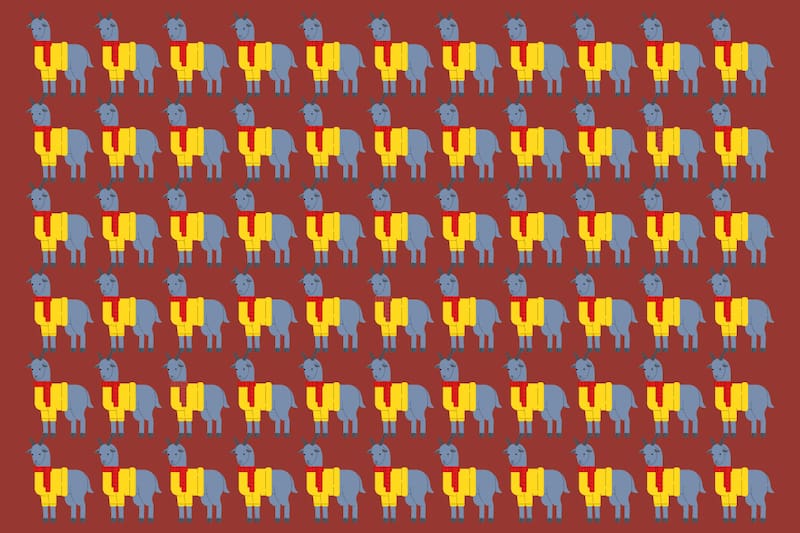 ¿Dónde están las bufandas diferentes?