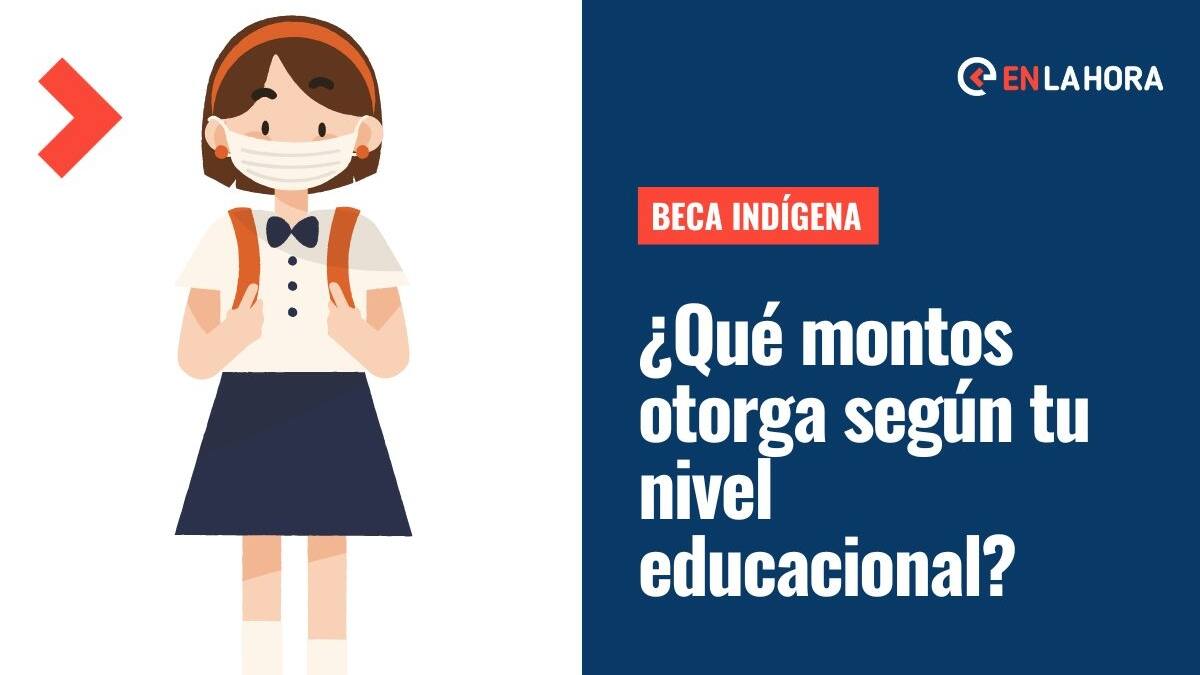 Beca indígena: Revisa los montos que entrega dependiendo de si cursas enseñanza básica, media o superior