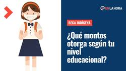 Beca indígena: Revisa los montos que entrega dependiendo de si cursas enseñanza básica, media o superior