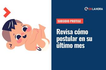 Subsidio Protege: Revisa cómo postular en su último mes disponible y en qué casos se suspende