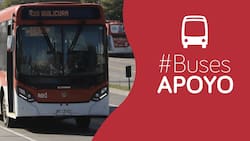 Red Movilidad confirma buses de apoyo por concierto de AC/DC en Chile: estos recorridos se verán beneficiados