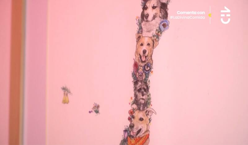 Cuadro con el territorio nacional de perros adoptados.