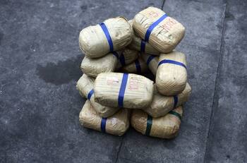 Los nervios los traicionaron: Carabineros detuvo a jóvenes con más de 2 kilos de cocaína en un control