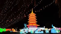 Tianfu Festival regresa a Chile: ¿Cuánto cuestan las entradas y dónde adquirirlas?