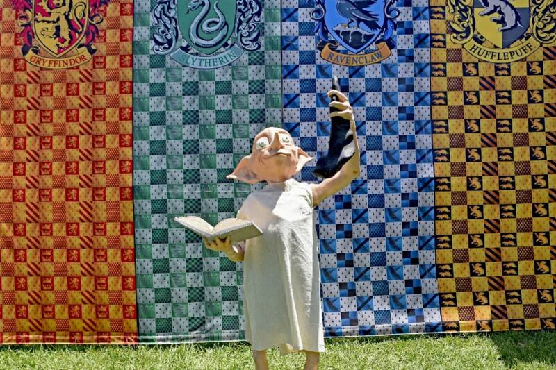 El evento traerá toda la magia del mundo de Harry Potter a la Región Metropolitana de forma totalmente gratuita. Créditos: Potterfest en Instagram.