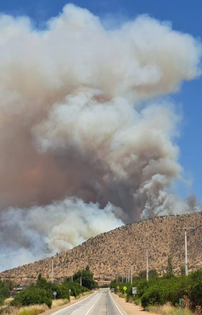 Incendio en Curacaví. Créditos: @INF0SCHILE