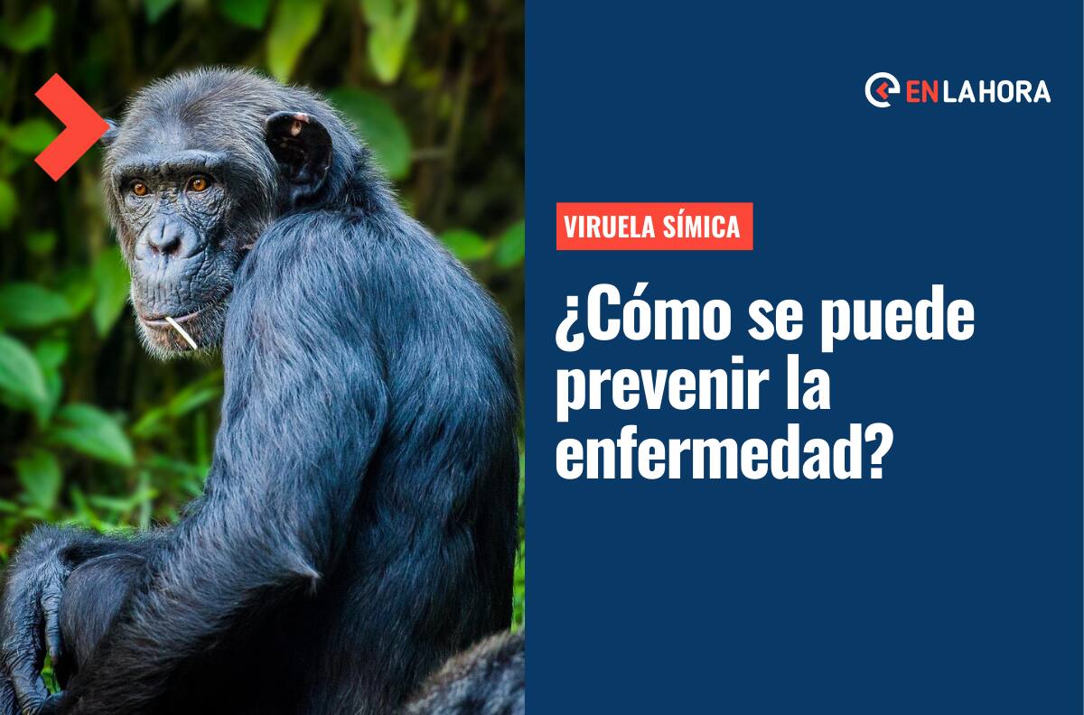 Viruela del Mono: ¿Cuáles son las medidas a tomar para prevenir esta enfermedad?