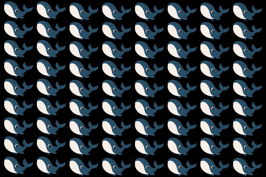 ¿Dónde están las 2 ballenas diferentes?