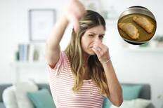 El truco infalible que eliminará el mal olor a fritura después de cocinar tus empanadas de pino