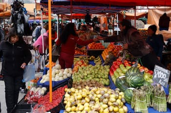 Nuevo monto del Bono Canasta Básica: ¿Cuánto dinero se entregará en el último mes del beneficio?