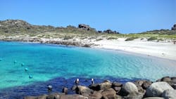 Playa Las Tijeras: Un paraíso tropical con arena blanca y aguas cristalinas en el norte de Chile