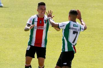 Sorpresa total: Palestino renueve a una de sus figuras hasta el 2024