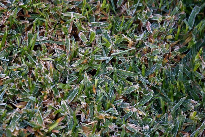 Las mínimas descenderán incluso hasta los -3°C en algunas de las regiones afectadas.