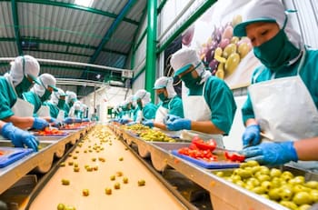 Multinacional vende su propiedad a histórica empresa de alimentos chilena: negocio se cerró en más de $180 millones de dólares