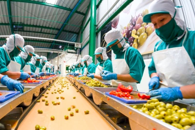 Buscan continuar su proceso de expansión en la región, manteniendo la cultura familiar que la destaca.