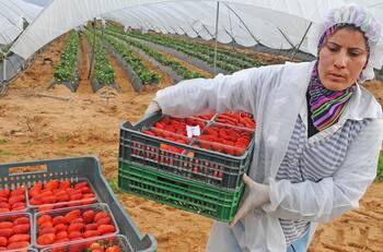 ¿Quiénes pueden Postular al Ingreso Mínimo Garantizado?